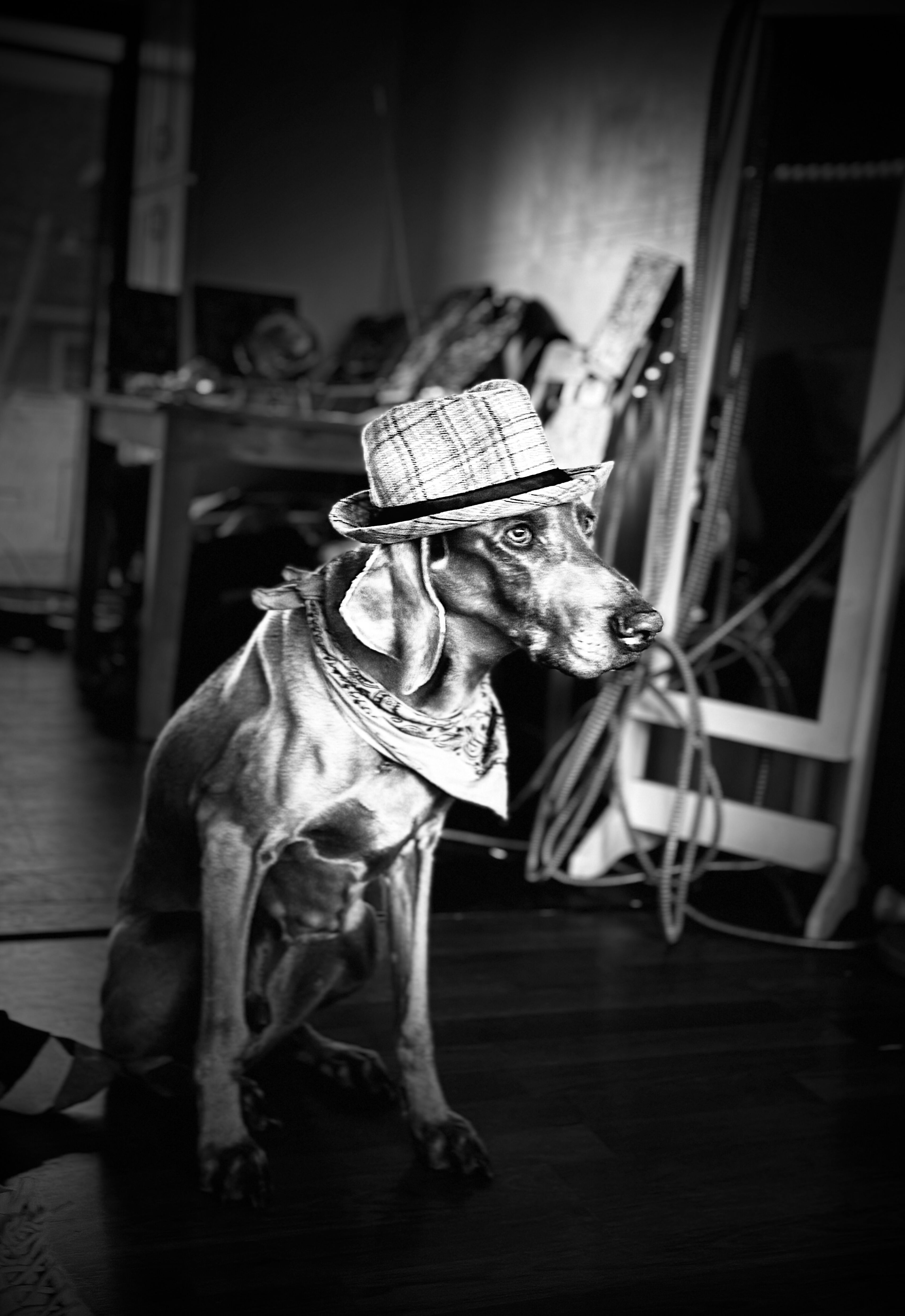 IMG_4068.jpg